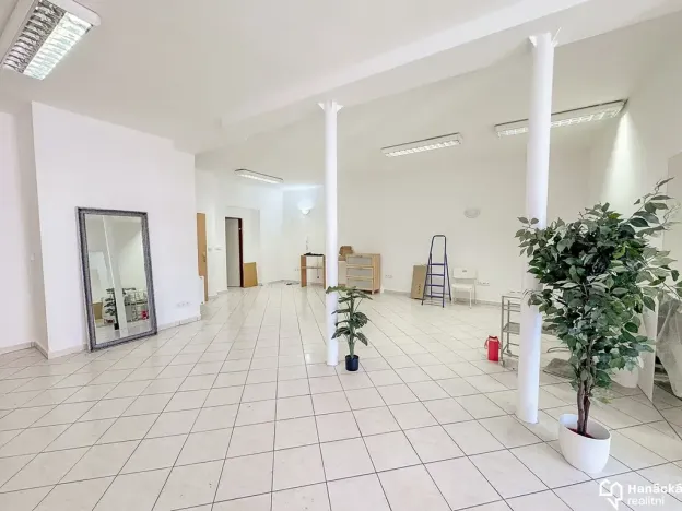 Pronájem komerční nemovitosti, Olomouc, Ostružnická, 84 m2
