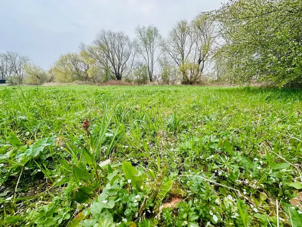 Prodej rodinného domu, Dlouhá Lhota, 150 m2