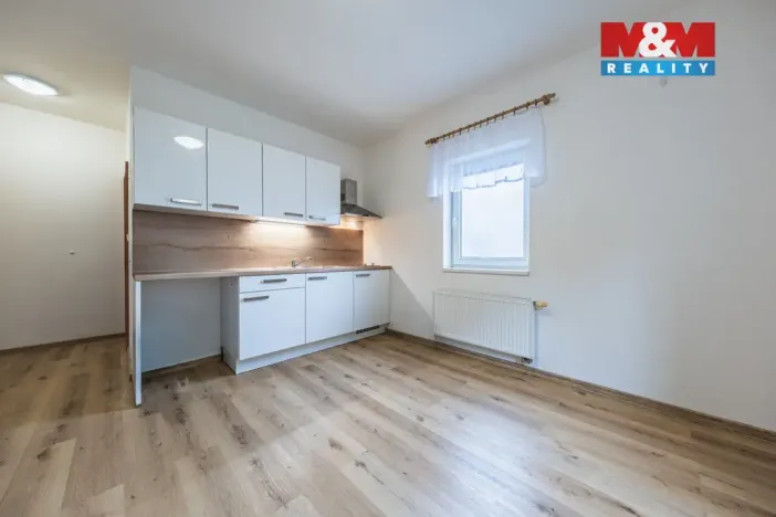 Prodej bytu 1+kk, Šestajovice, Revoluční, 18 m2