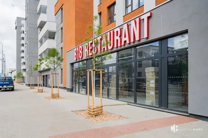 Pronájem bytu 1+kk, Praha - Vysočany, Gerstelova, 43 m2