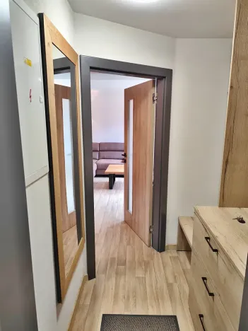 Pronájem bytu 1+1, Harrachov, 60 m2