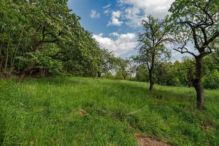 Prodej rodinného domu, Veliny, 157 m2