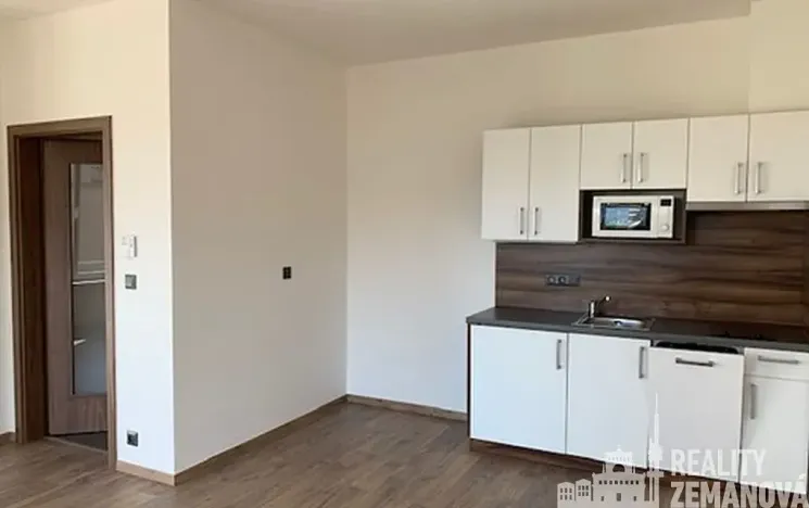 Pronájem bytu 1+kk, Praha - Michle, Hanusova, 37 m2