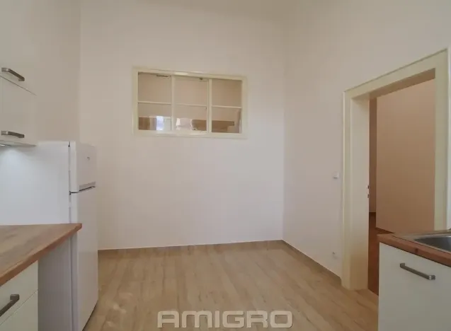 Pronájem bytu 1+1, Brno, Česká, 55 m2