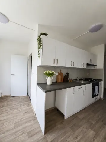 Pronájem bytu 3+1, Litvínov, Mládežnická, 82 m2