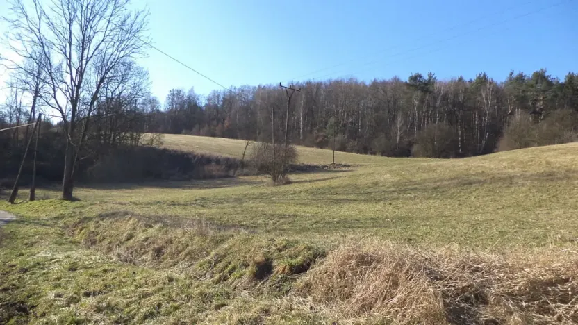 Prodej pozemku, Úštěk - Tetčiněves, 4600 m2