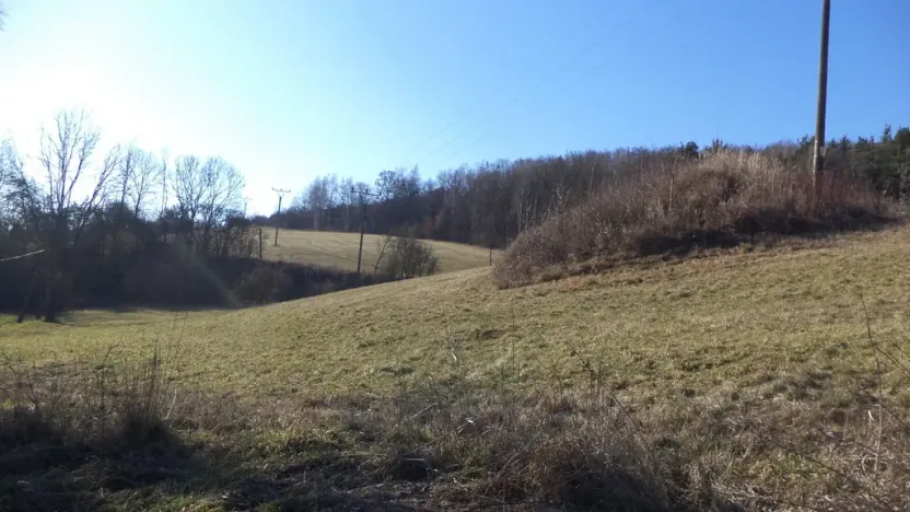 Prodej pozemku, Úštěk - Tetčiněves, 4600 m2