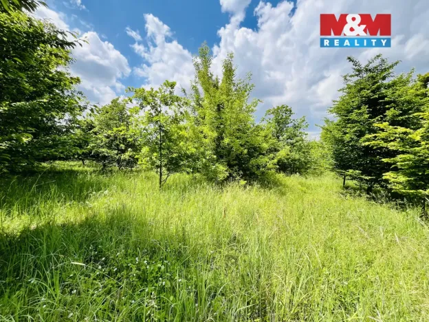Prodej pozemku, Veselí nad Moravou, 1026 m2
