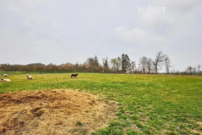Prodej pozemku pro bydlení, Předslavice, 8407 m2