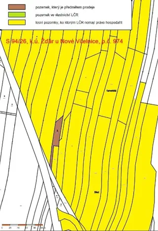 Prodej lesa, Žďár, 1305 m2