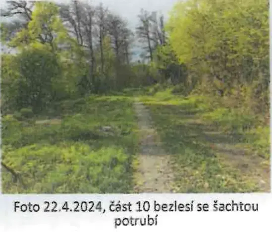 Prodej pozemku, Domašov nad Bystřicí, 9063 m2
