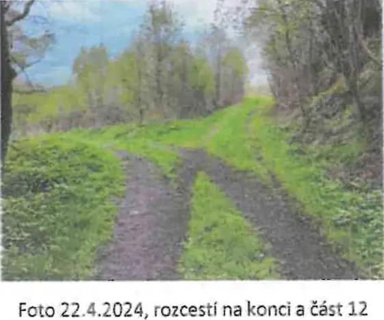 Prodej pozemku, Domašov nad Bystřicí, 9063 m2