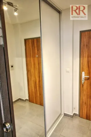 Pronájem bytu 1+kk, Plzeň, U Borských kasáren, 40 m2