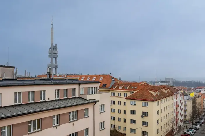 Pronájem bytu 1+1, Praha - Žižkov, Baranova, 49 m2