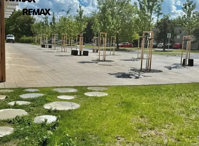 Pronájem bytu 2+kk, Plzeň, U Borského parku, 51 m2
