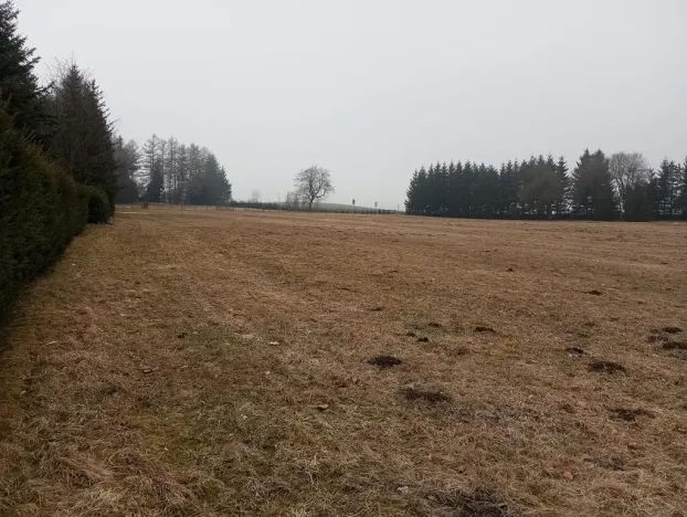 Prodej pozemku pro bydlení, Tři Studně, 1456 m2