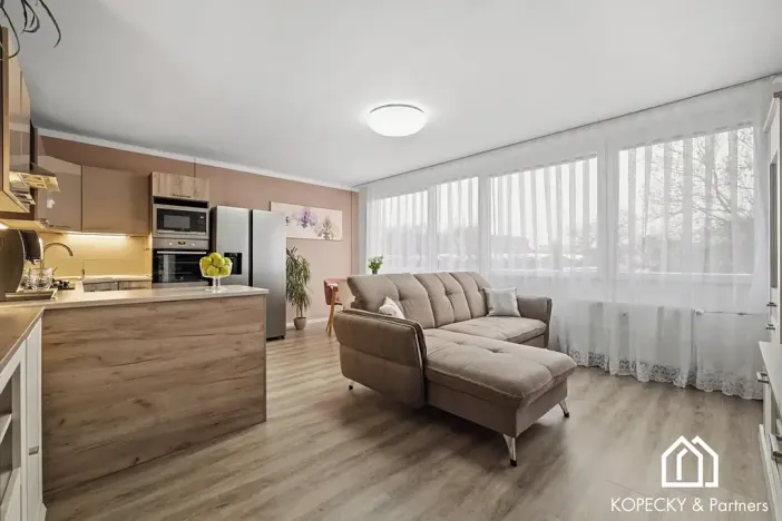 Prodej bytu 3+kk, Praha - Žižkov, Hartigova, 70 m2