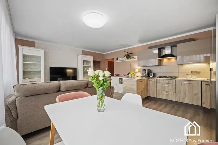 Prodej bytu 3+kk, Praha - Žižkov, Hartigova, 70 m2