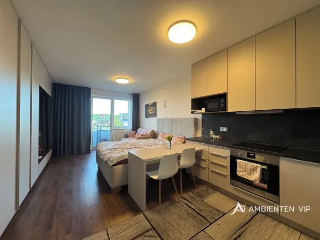 Pronájem bytu 1+kk, Brno, Reissigova, 36 m2