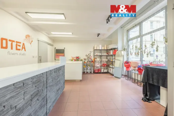 Pronájem obchodního prostoru, Praha - Smíchov, Staropramenná, 48 m2