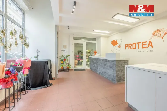 Pronájem obchodního prostoru, Praha - Smíchov, Staropramenná, 48 m2