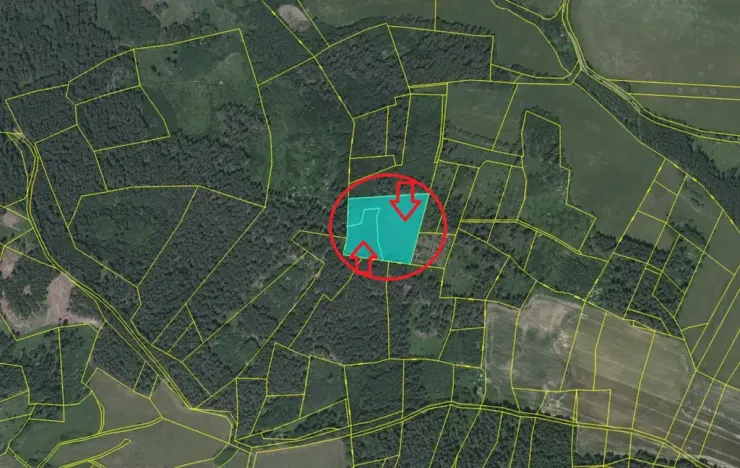 Prodej podílu lesa, Milejovice, 1918 m2