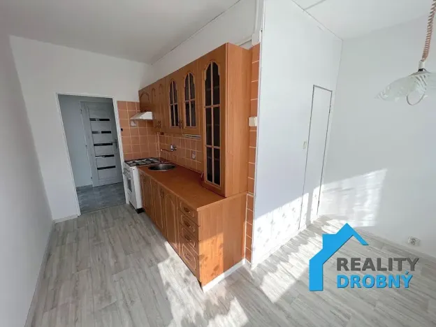 Prodej bytu 2+1, Děčín, Severní, 50 m2
