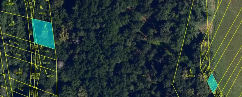 Prodej lesa, Silůvky, 310 m2