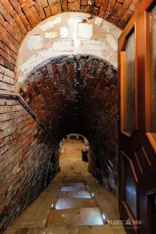 Prodej vinného sklepa, Prušánky, Nechory, 80 m2