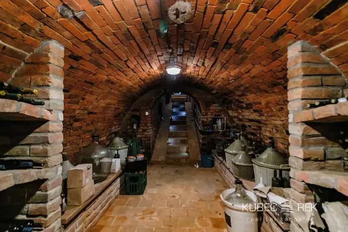 Prodej vinného sklepa, Prušánky, Nechory, 80 m2