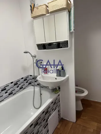 Pronájem bytu 1+1, Hodonín, Lesní, 33 m2
