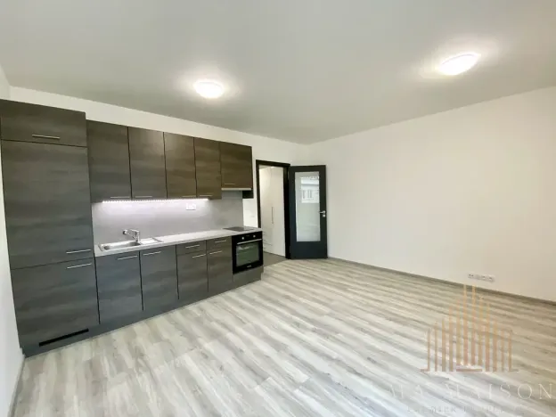 Pronájem bytu 1+kk, Praha - Holešovice, Na Maninách, 33 m2