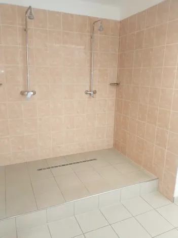 Pronájem obchodního prostoru, Brno, Palackého třída, 311 m2
