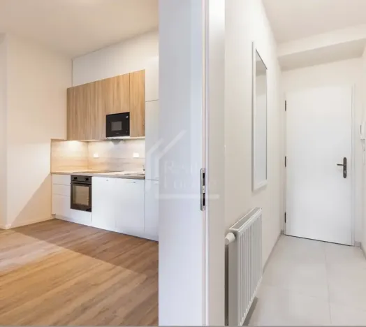 Pronájem bytu 1+kk, Praha - Bubeneč, Veletržní, 37 m2
