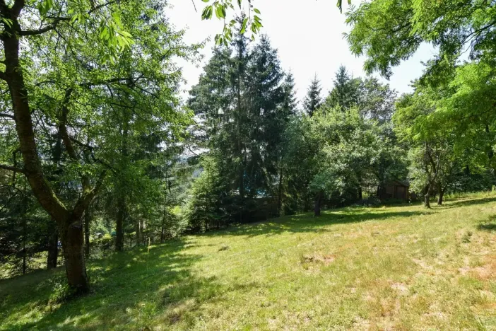 Pronájem zahrady, Stříbrná Skalice, 1015 m2