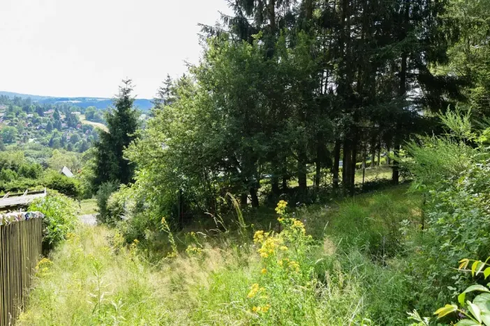 Pronájem zahrady, Stříbrná Skalice, 1015 m2