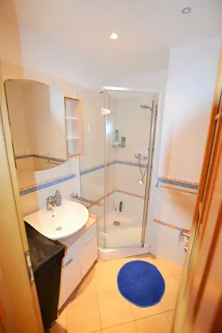 Pronájem bytu 1+kk, Praha - Podolí, Brabcova, 43 m2
