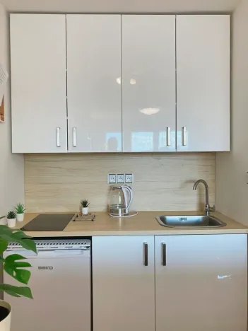 Pronájem bytu 1+kk, Ostrava, Zdeňka Štěpánka, 27 m2