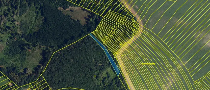 Prodej lesa, Silůvky, 1519 m2