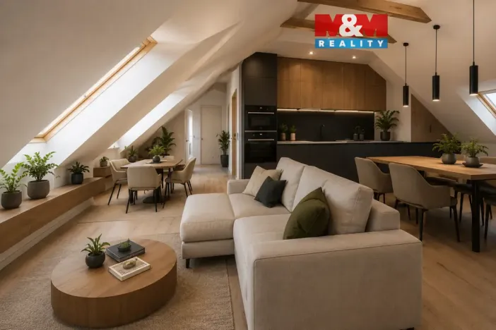 Prodej bytu 3+kk, Chotěšov, Starý mlýn, 82 m2
