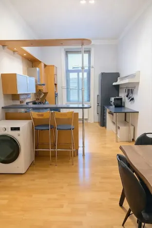 Pronájem bytu 2+1, Brno, Štefánikova, 75 m2