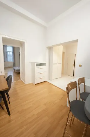 Pronájem bytu 2+1, Brno, Štefánikova, 75 m2