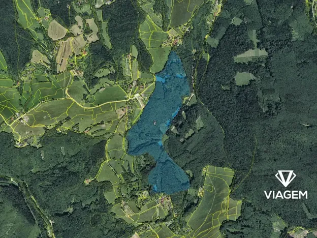 Prodej podílu lesa, Lípa, 4141 m2