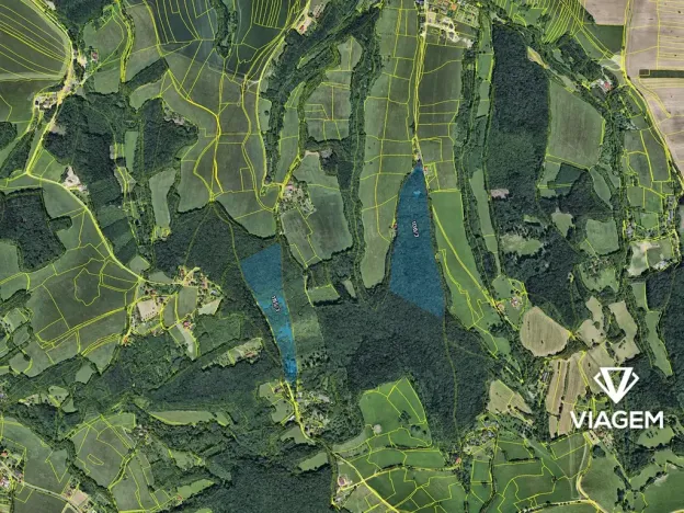 Prodej podílu lesa, Lípa, 1564 m2