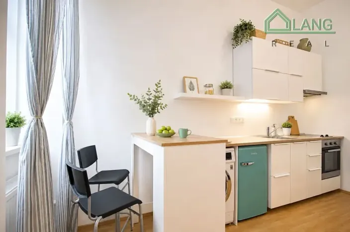 Pronájem bytu 1+kk, Brno, Koliště, 21 m2