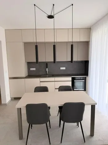 Pronájem bytu 2+kk, Hajany, 50 m2