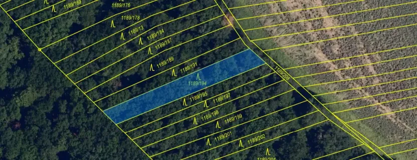 Prodej lesa, Silůvky, 521 m2