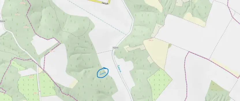 Prodej lesa, Silůvky, 521 m2