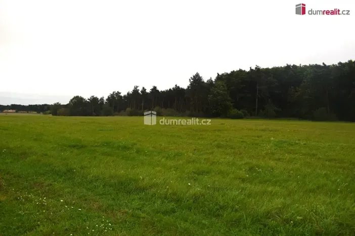 Prodej pole, Benátky nad Jizerou, Pražská, 6490 m2