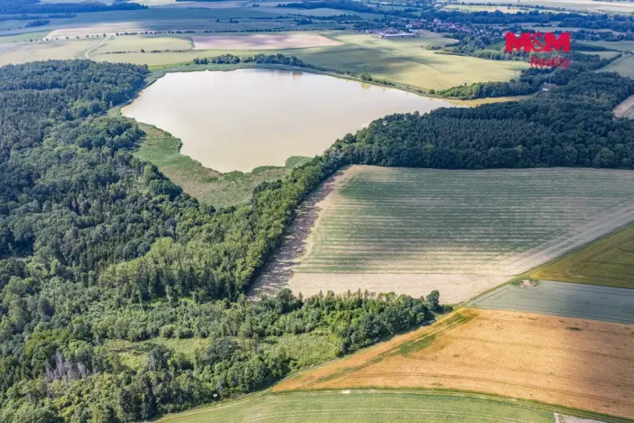 Prodej lesa, Bohuslavice, 11971 m2
